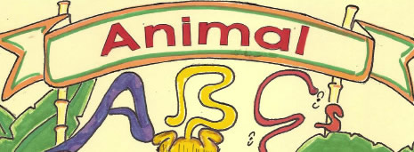 Animal ABCs - Coloring book for children
