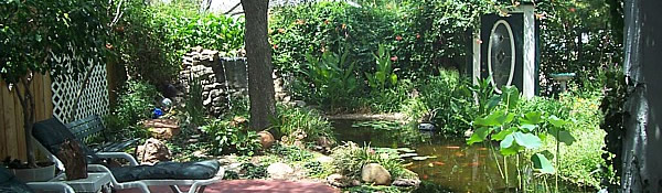 garden patio with fish ponds and flowers