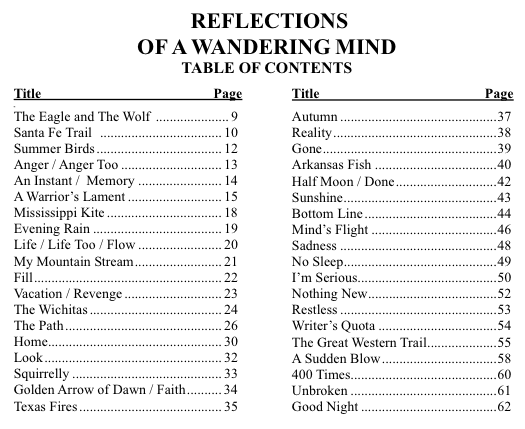 Table of Contents for Reflections of a wandering mind